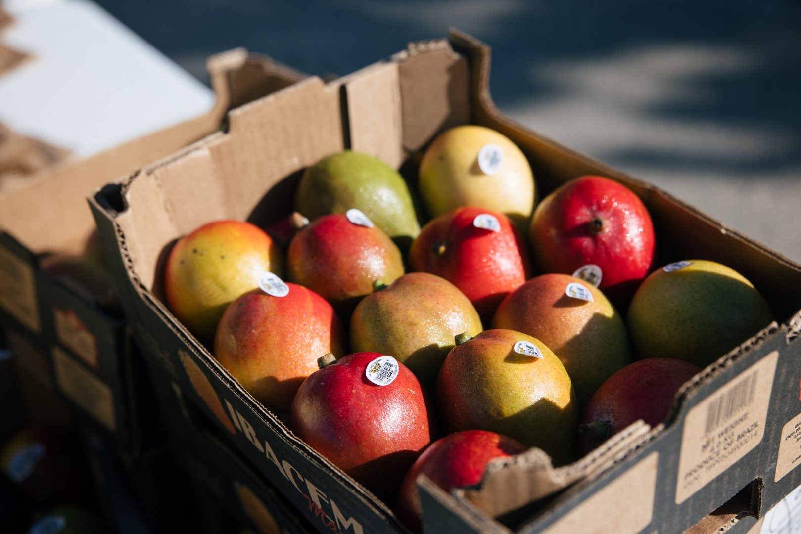 Fruits in a box